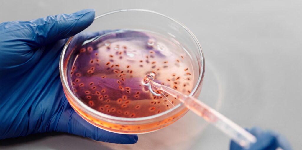 Kerala – A Biotechnology Roadmap to the Future