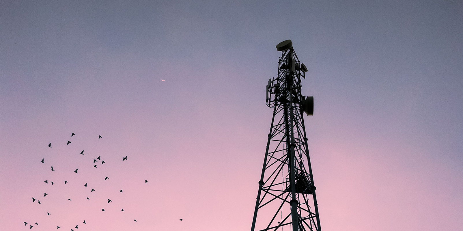 Restricting competition to healthy levels within the India Telecoms Sector: A Possible Way Forward