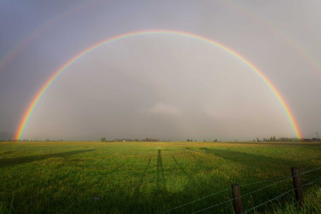 Transforming Rural Banking through Digital Disruption