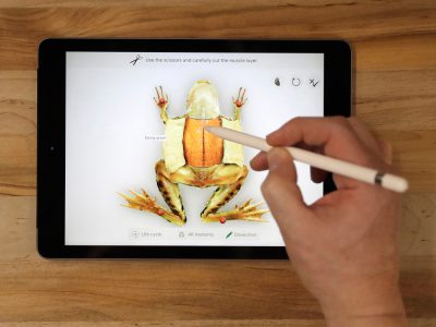Read more about the article How can the new 9.7 inch iPad hook Indian educators?   