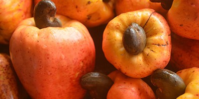 Read more about the article Kerala’s Cashew Industry is Facing A Dire Straits