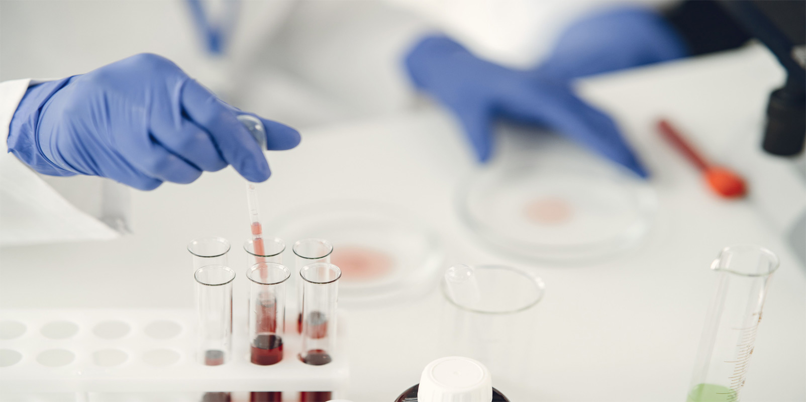 R&D Investments are Expected to Grow Between 10% to 20% in 2023