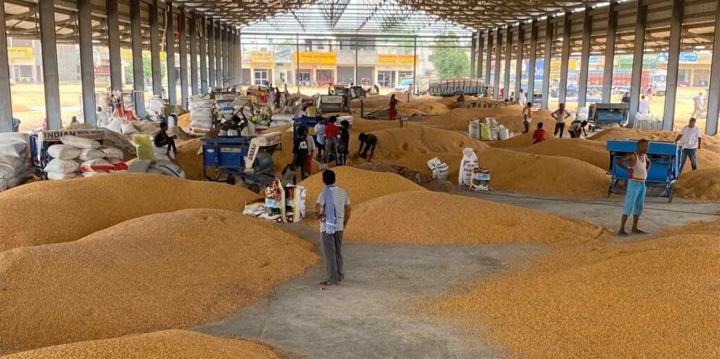 How TraceX Technologies is enabling trust and traceability in food supply chains?
