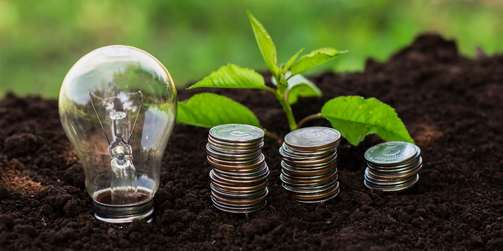 Southeast Asian IT Industry Must Invest in Renewable Energy