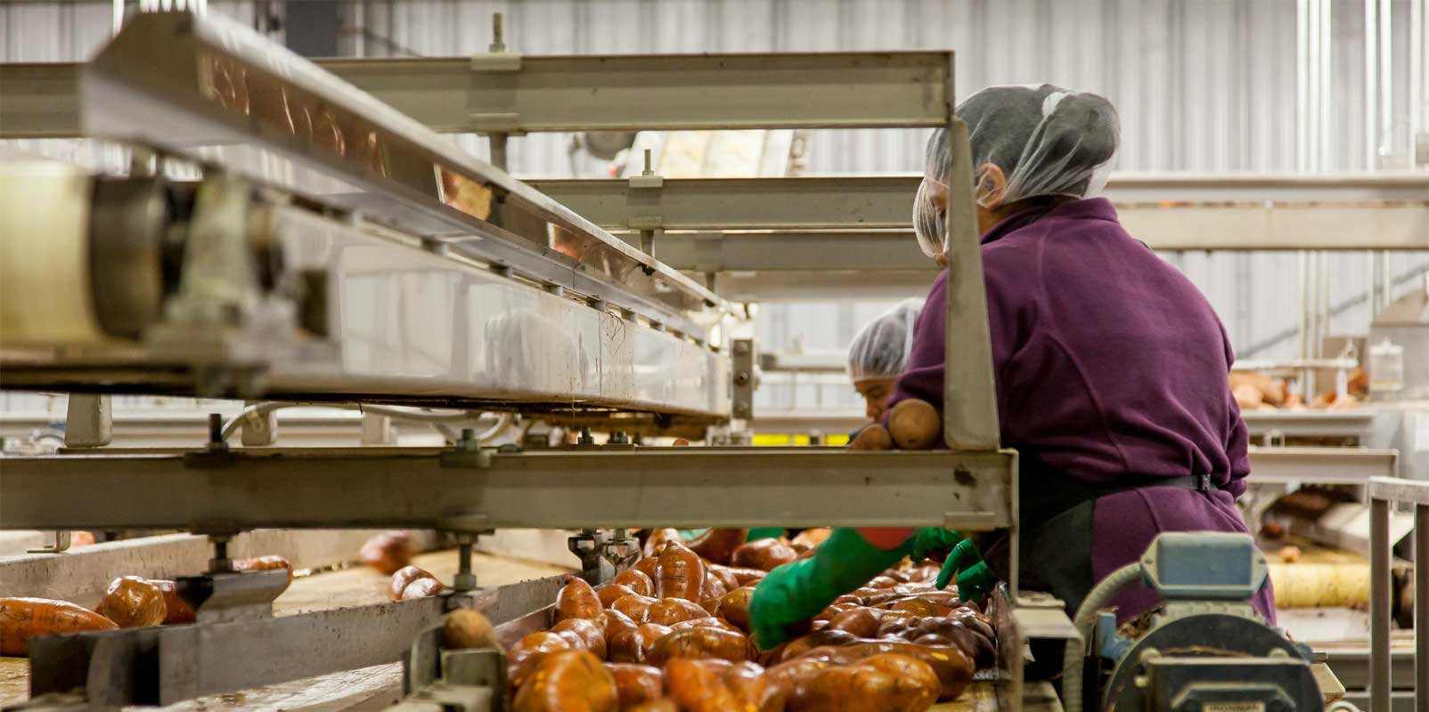 FIWA: Bridging The Gap Between Government and MSMEs