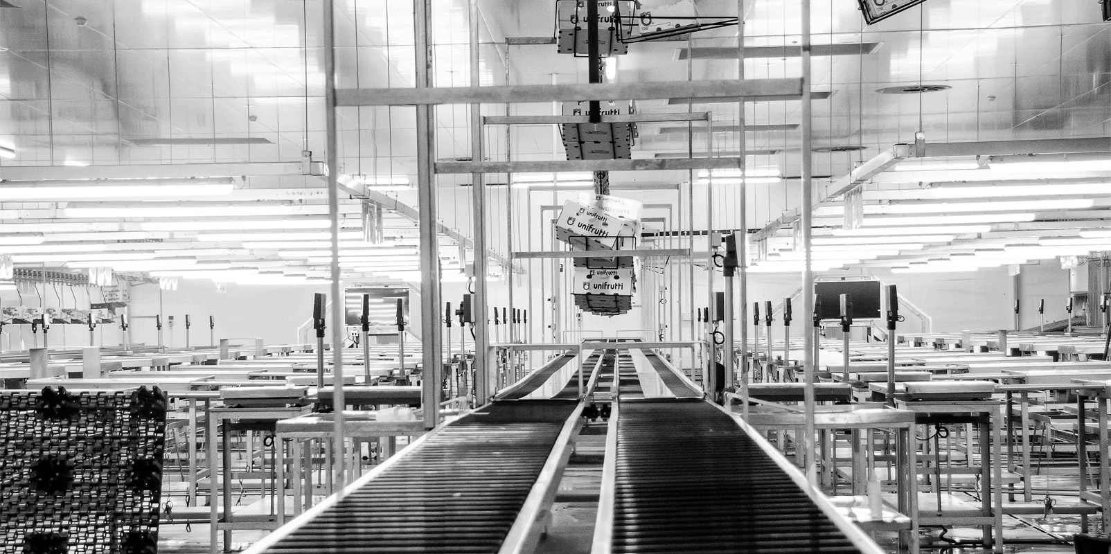 Top Warehouse Automation Trends For 2023