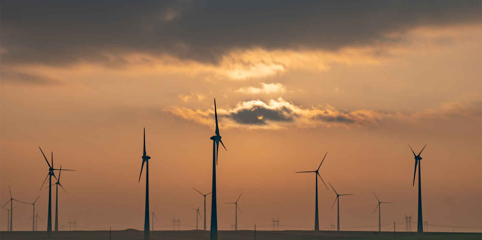 India is Betting Big on Renewables, But Will it Pay Off?