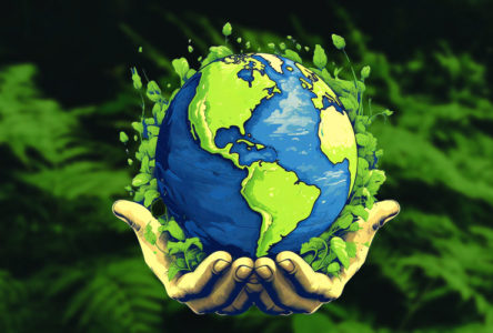 World Environment Day 2024: India’s Path to a Sustainable Future