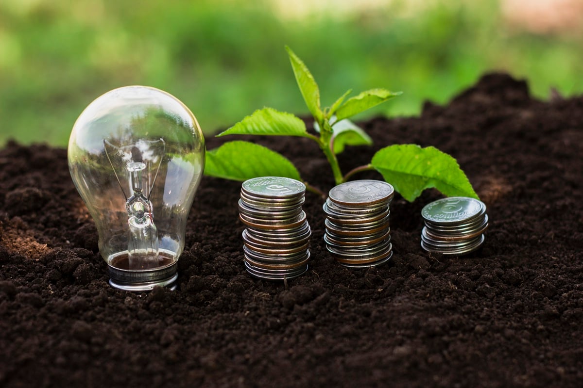 https://cmrindia.com/wp-content/uploads/2026/09/high-angle-small-tree-stack-coins.jpg